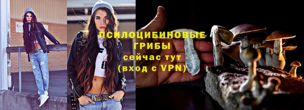 apvp Балахна