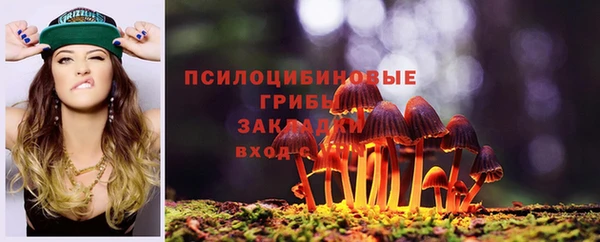 хмурый Балабаново